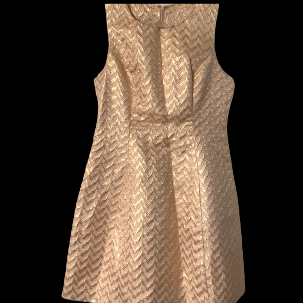 🌷Spring Fling Sale ~ Lucy In Paris - EUC Gold Accented Brocade Dress, Size L